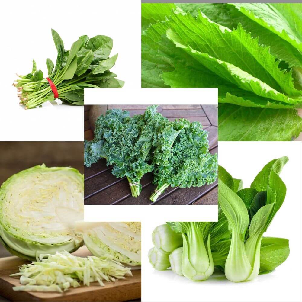 rau-cai-co-may-loai